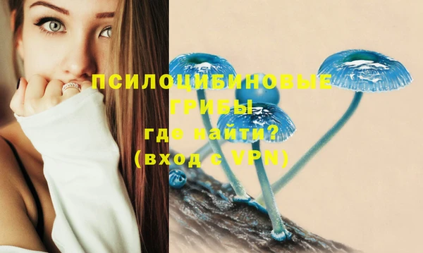MDMA Алексин